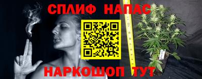 МДПВ Аргун