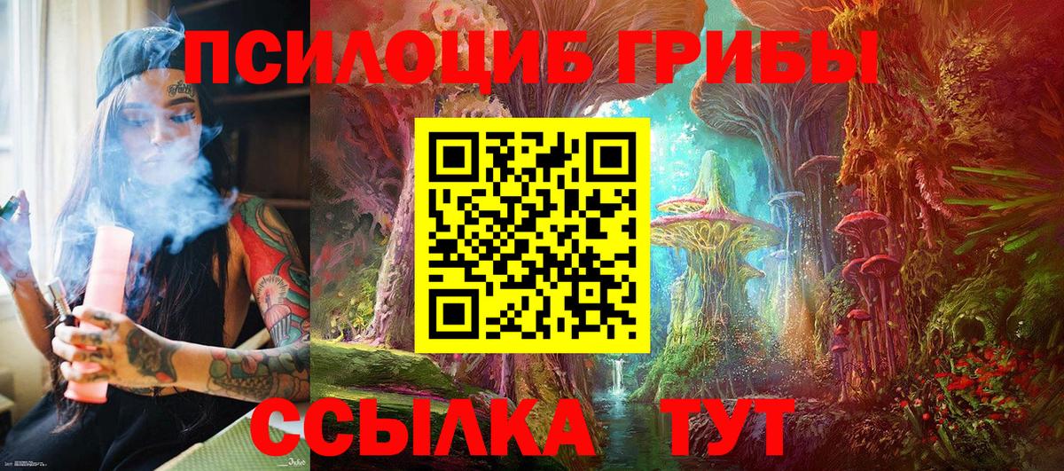 Галлюциногенные грибы Psilocybine cubensis  Вход с VPN  Баксан 
