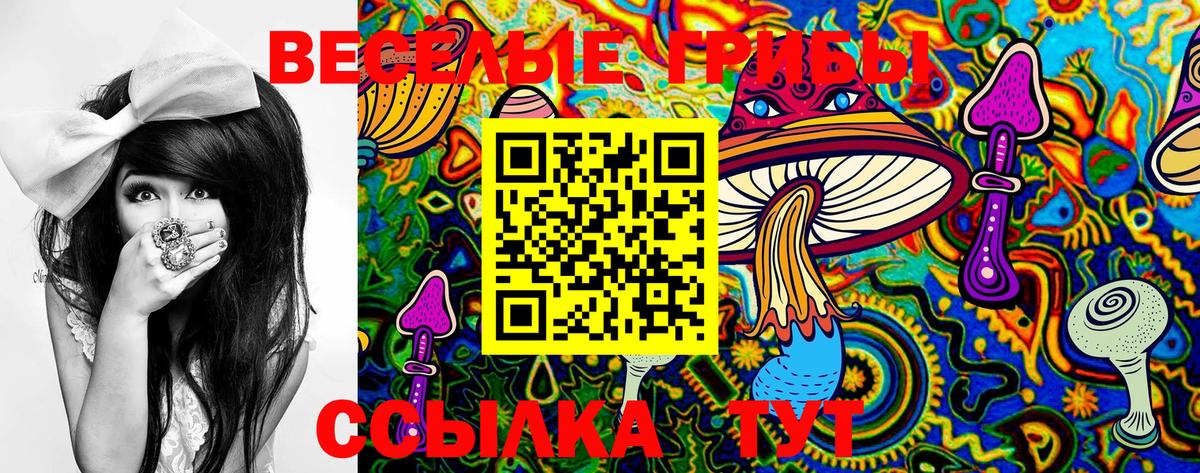 Галлюциногенные грибы Psilocybe Баксан